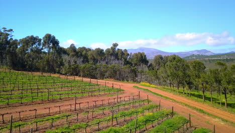 Hay-Belleza-Por-Todas-Partes-En-La-Naturaleza