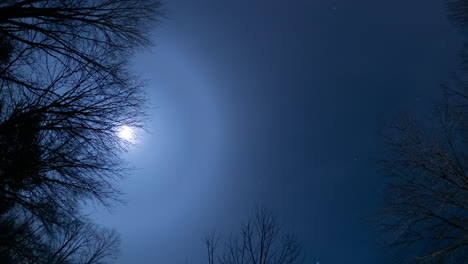 starry night winter timelapse: moon, stars, and clouds in motion