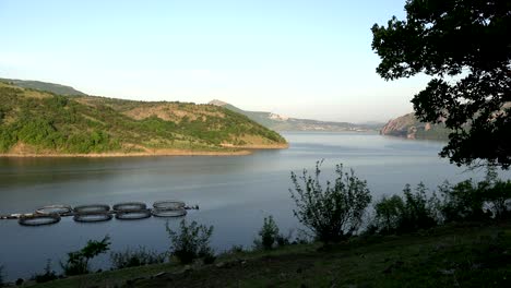 fishpond in а dam