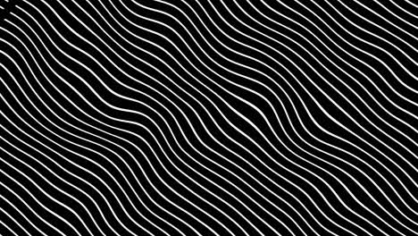 abstract white curved lines in dynamic wave motion background. animation pattern