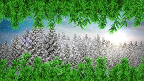 tree branches against snow falling over over multiple trees on winter landscape