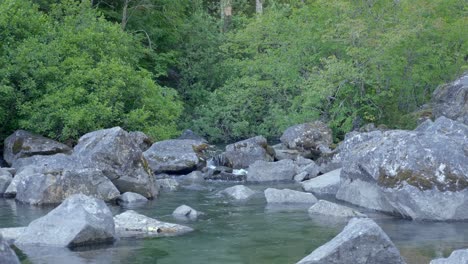 boulders on a flowing river in tropical forest