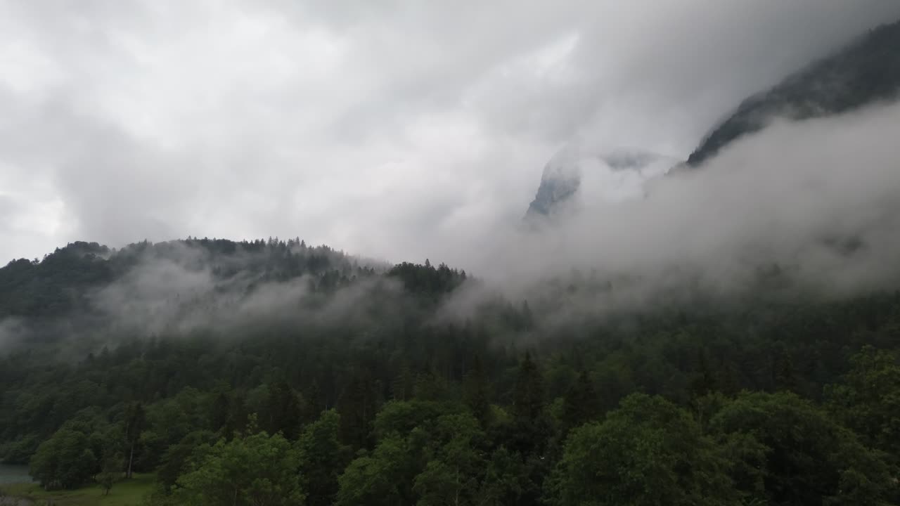 Misty Forested Mountains Landscape