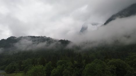 misty forested mountains landscape