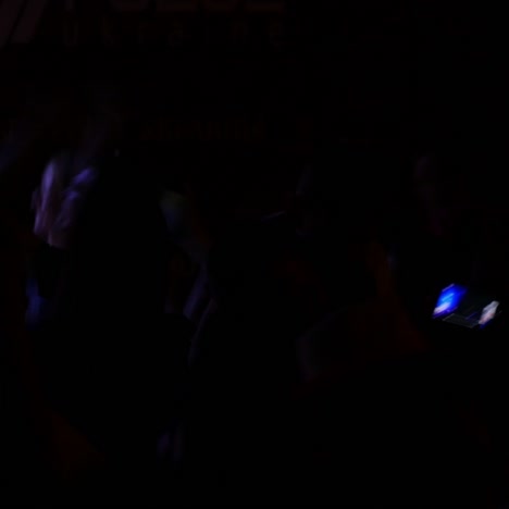 fans enjoy music at the festival