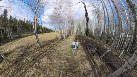 red haired man walking through an aspen tree forest in utah