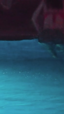 piscina en un lujoso complejo tropical por la noche