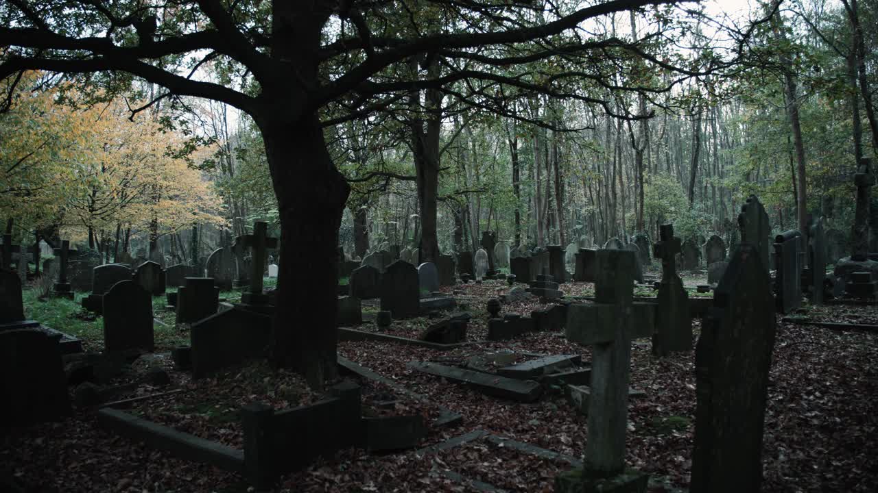 gran árbol en el cementerio durante el otoño