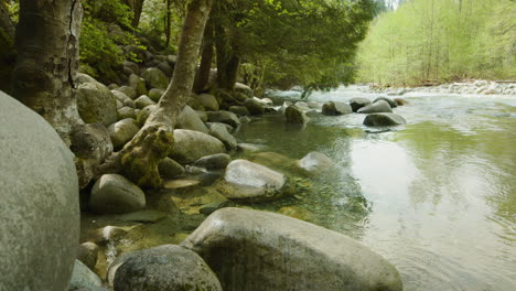 Natürliche-Szene-Am-Ufer-Des-Lynn-Creek,-Vancouver