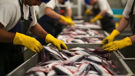 fish processing factory