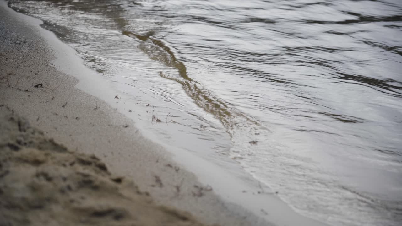 Waves gently splashing on the riverbank