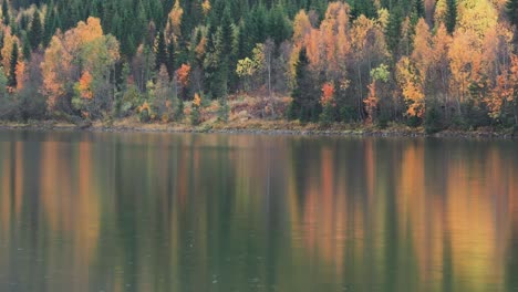 Amidst-the-autumn-forest,-raindrops-cascade,-creating-a-symphony-of-nature's-rhythm,-as-the-tranquil-beauty-of-the-woodland-is-mirrored-on-the-serene-surface-of-the-lake