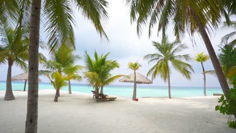 tropical beach with palm trees white sand and lounge chairs
