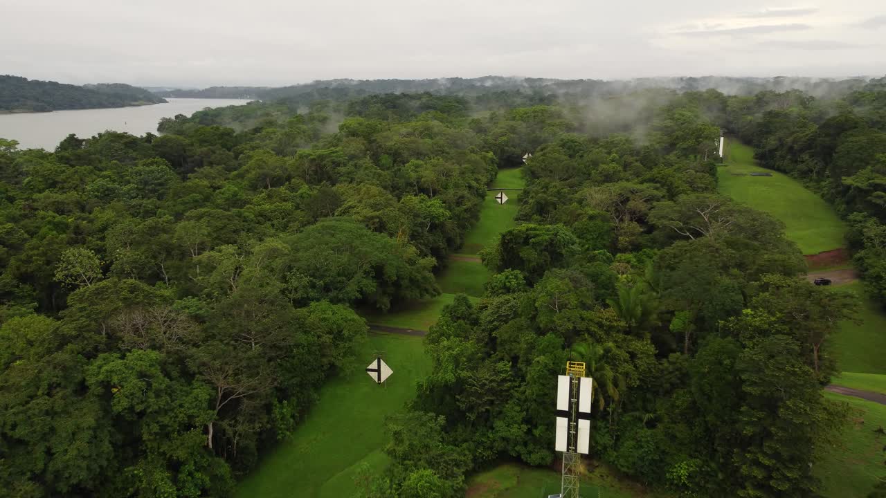 un denso bosque verde con un río que fluye a través de él