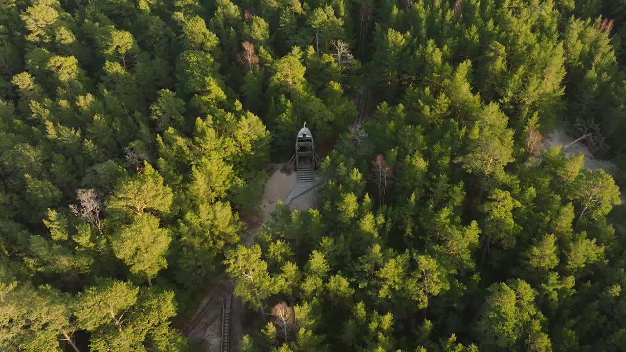vista aérea de pájaro de la moderna torre de observación en forma de barco en medio del bosque de pinos, bosque nórdico, sendero forestal, tarde soleada, luz de la hora dorada, disparo de drones moviéndose hacia atrás