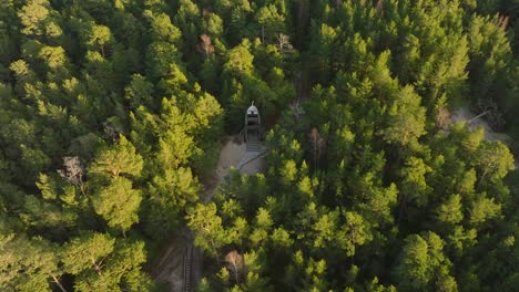 aerial birdseye view of modern boat shaped observation watchtower in the middle of pine tree forest, nordic woodland, forest trail, sunny evening, golden hour light, drone shot moving backward