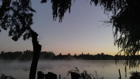 Travelling-in-backlight-silhouette-of-trees-on-shore-of-foggy-mystic-amazon-river