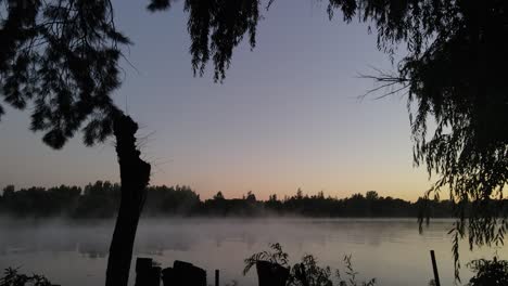 travelling in backlight silhouette of trees on shore of foggy mystic amazon river