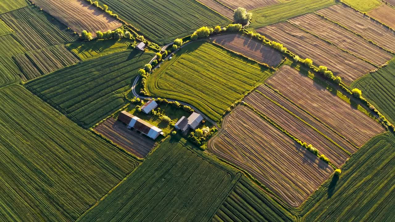 Aerial View of Farmland Patterns