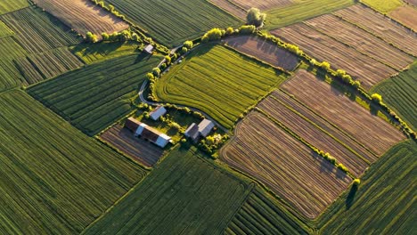 aerial view of farmland patterns
