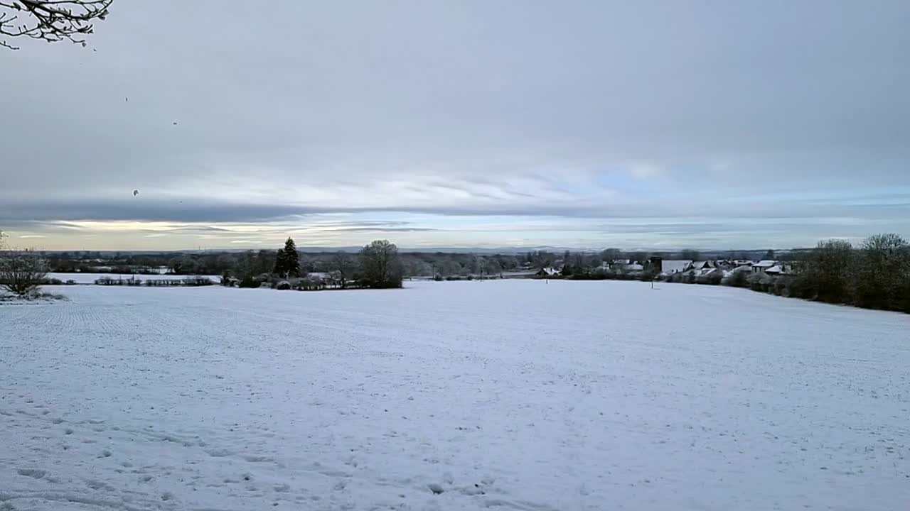 은 눈으로 인 농경지, 겨울의 눈 개, 농업 시골