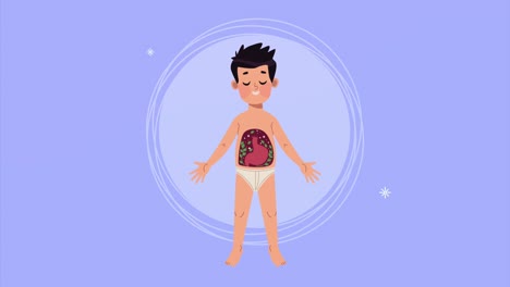 hombre con animación del sistema digestivo