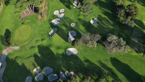 Aerial-top-down-shot-of-golf-course-with-playing-golfer-at-sunny-day-in-Australia---tilt-down