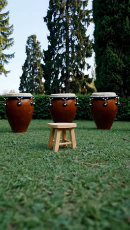japanese taiko drums in a park