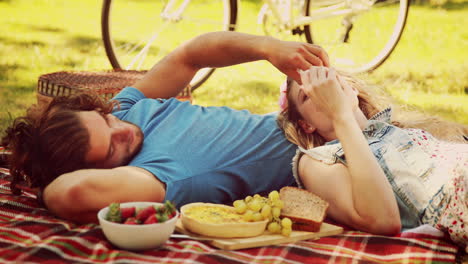en formato 4k de alta calidad una pareja linda haciendo un picnic