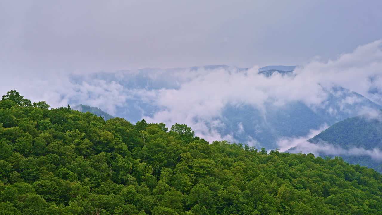 A peaceful drone pass over the fog-filled Smoky ridges