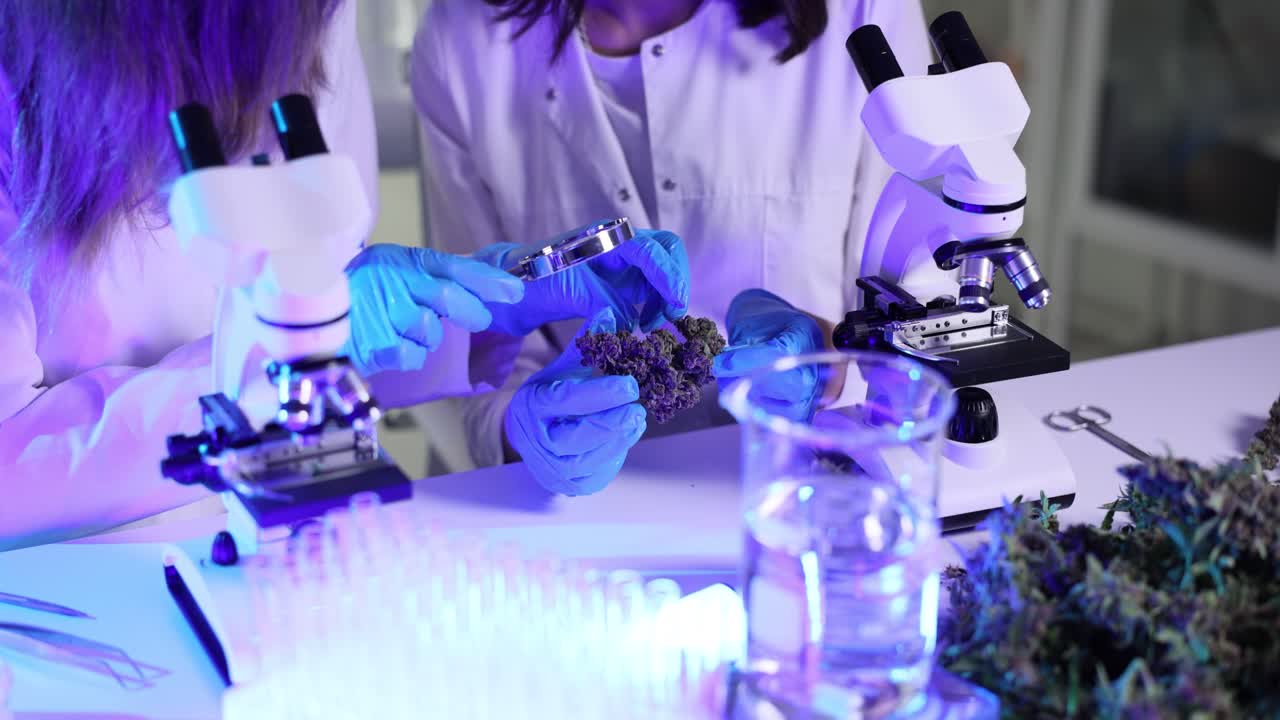 Cannabis Research in a Laboratory Setting