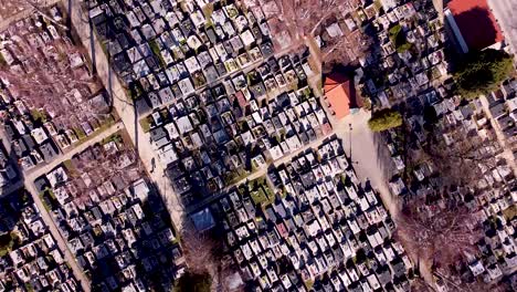 bird eye view of cemetery on sunny day, drone cinematic shot