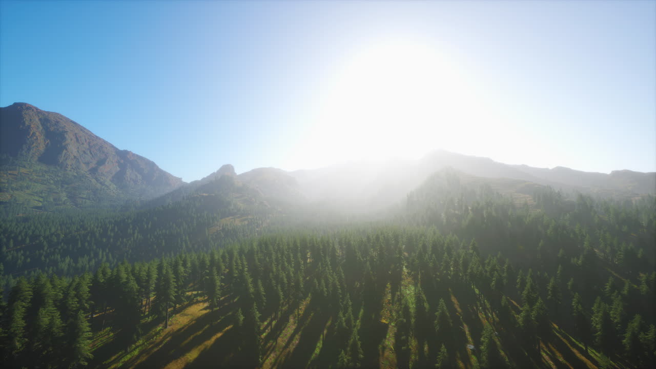 산악 숲 의 놀라운 공중 풍경