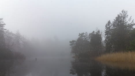 Lapso-De-Tiempo-De-Niebla-Espeluznante-Moviéndose-Sobre-El-Río-Rodeado-De-Bosque---Alejamiento-Lento