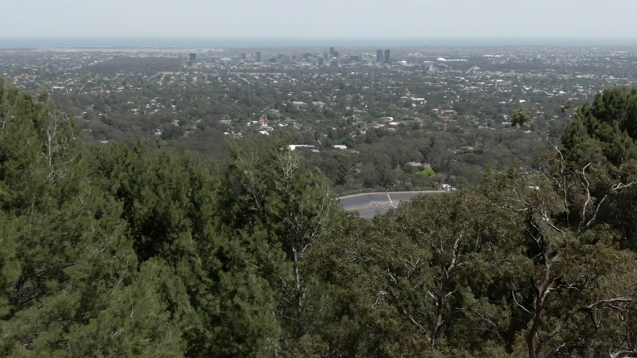 bosque verde con vistas al paisaje urbano del centro de adelaide en el sur de australia