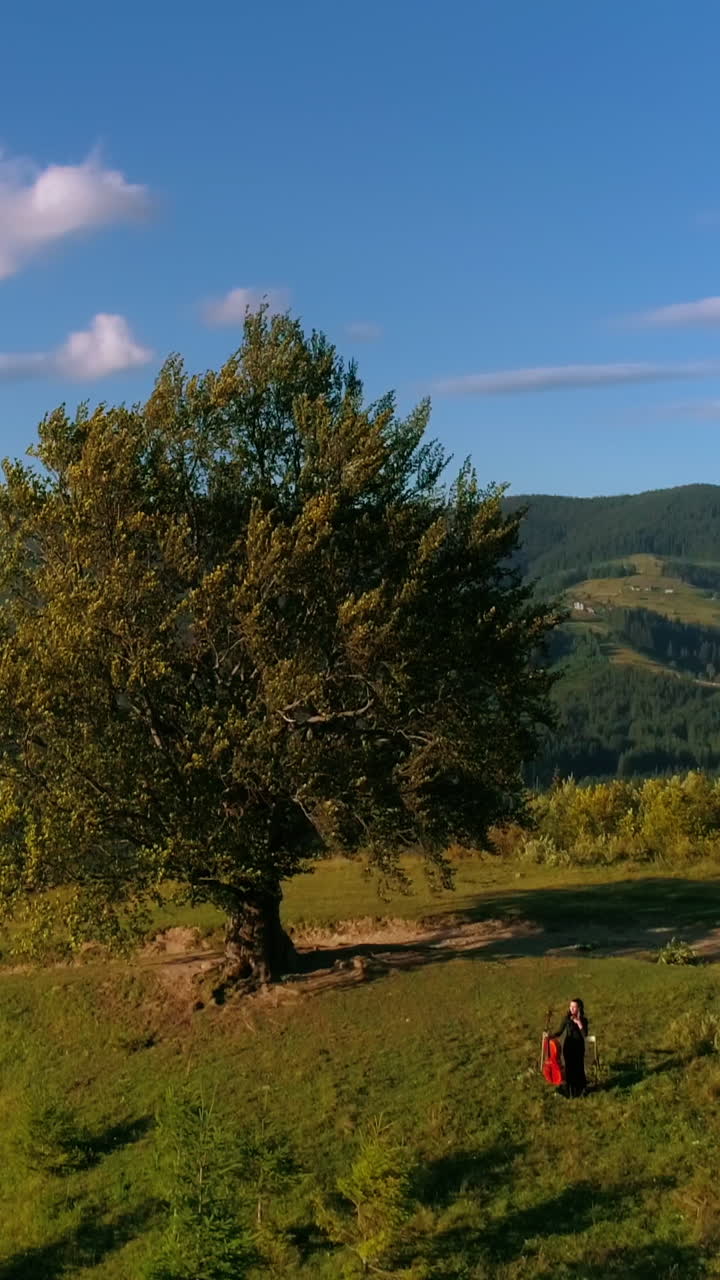Woman with musical instrument outdoors. Musician on a green hill near the big tree on mountains background. Performer in mountainous place in summer. Aerial view. Vertical video