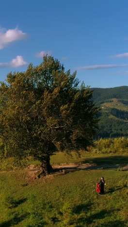 woman with musical instrument outdoors. musician on a green hill near the big tree on mountains background. performer in mountainous place in summer. aerial view. vertical video
