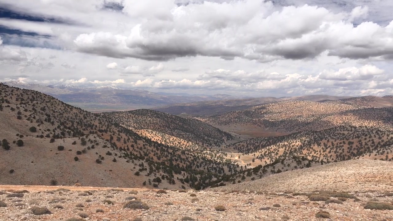 Vista panoramica di paesaggio montano aspro con alberi sparsi