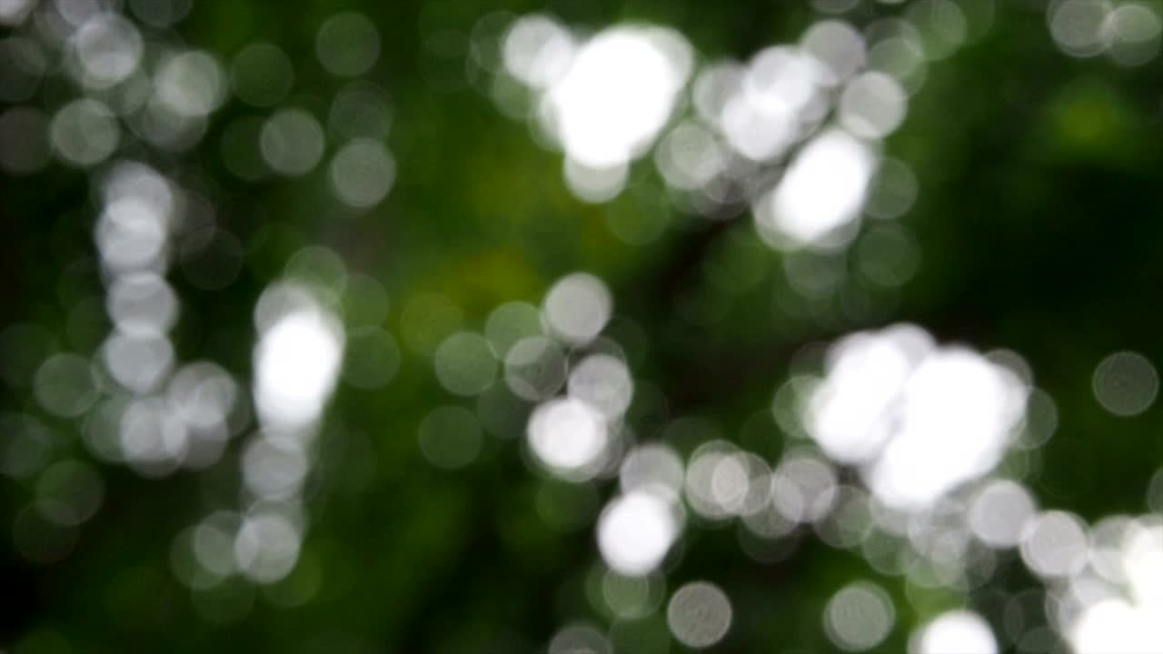 추상적인 보케 조명, 추상적인 자연 배경