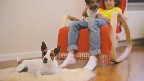 Niño-Rubio-Sentado-En-La-Silla-Con-Su-Perro-Y-Lo-Acaricia