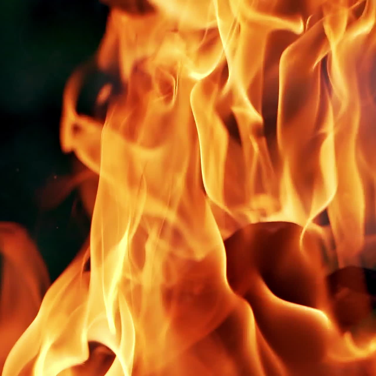 Bonfire. Burning logs in orange flames. Beautiful fire burns brightly. Slow motion