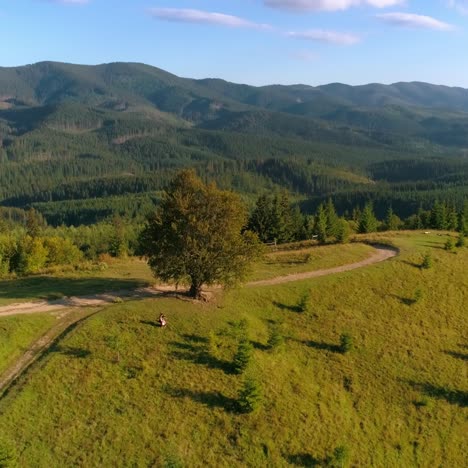 cellist on the top of the hill. female musician performing music on beautiful background of the mountains. aerial view. camera moving back