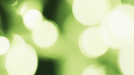 video de puntos de luz bokeh blancos y verdes parpadeantes con espacio de copia
