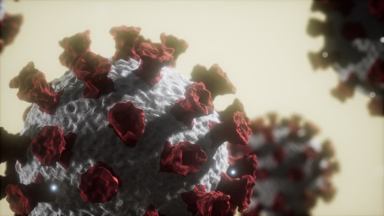 el virus de la corona covid 19 es un modelo macro