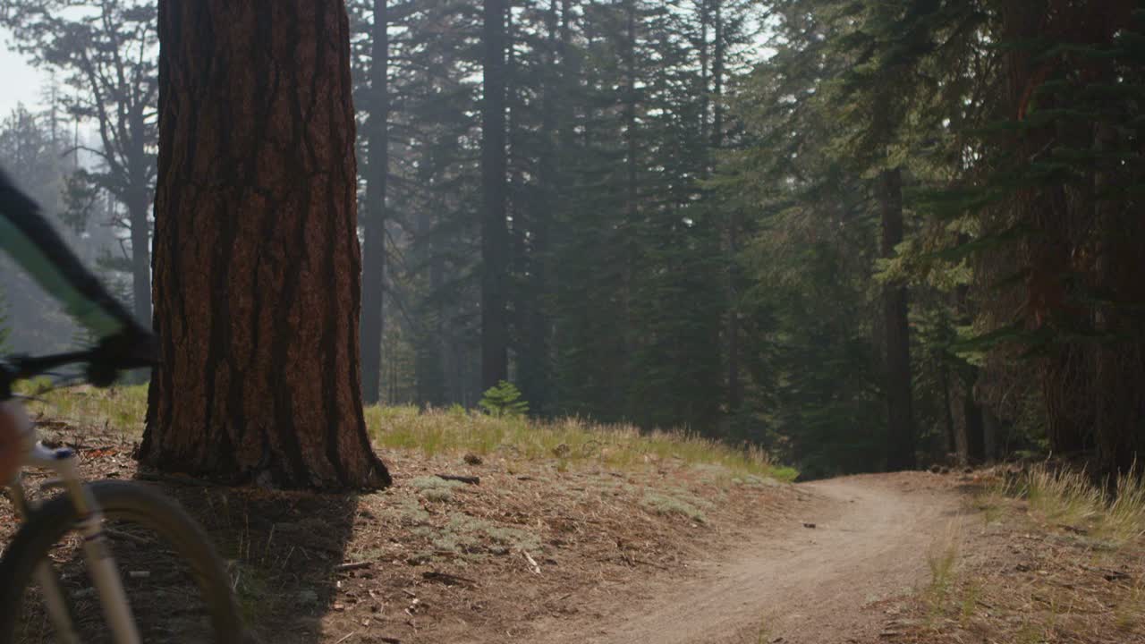 un ciclista de montaña monta en un bosque 3
