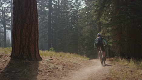 Un-Ciclista-De-Montaña-Cabalga-En-Un-Bosque-3