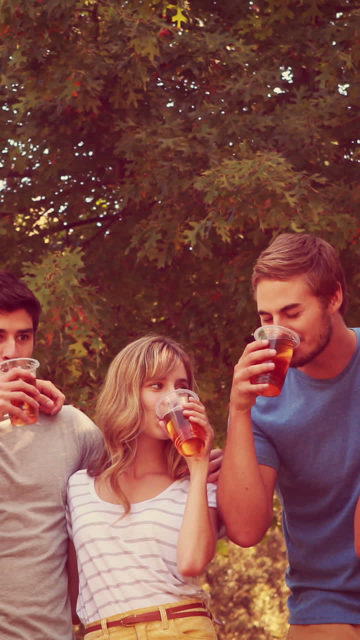 amigos felices brindando en el parque