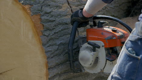 primer plano de una motosierra que se utiliza para cortar un trozo a través de un gran tronco de árbol