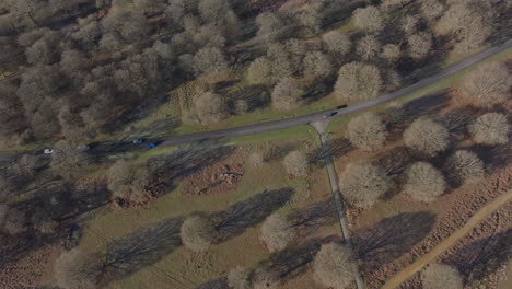 Aerial-shot-along-the-richmond-park-ring-road-in-winter