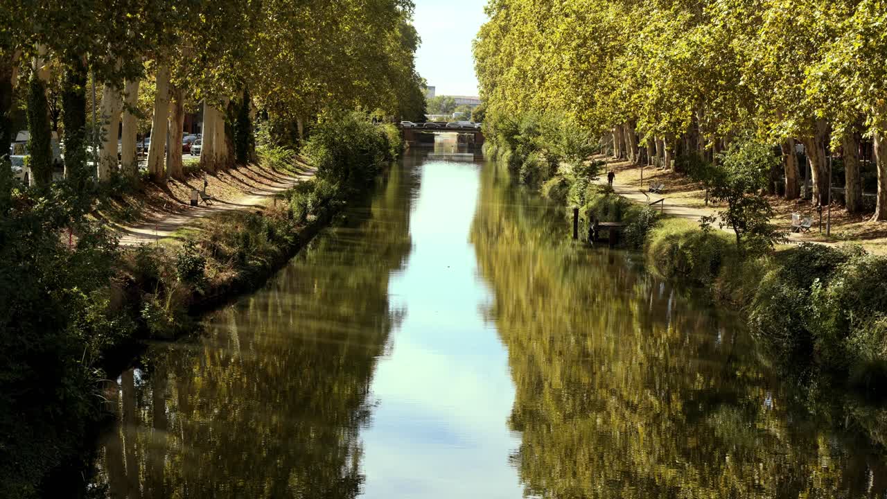 Ampia vista simmetrica del Canal du Midi a Tolosa con una fitta chioma di platani riflessa perfettamente sulla superficie immobile dell'acqua verde, con un singolo camminatore e un ponte distante visibili